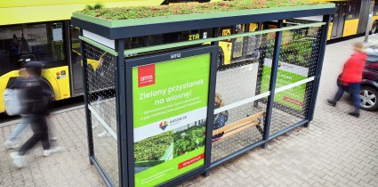 Katowice i AMS realizują projekt „Zielony przystanek na wiosnę”