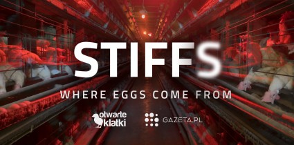 Gazeta.pl publishes shocking video report on chicken farms