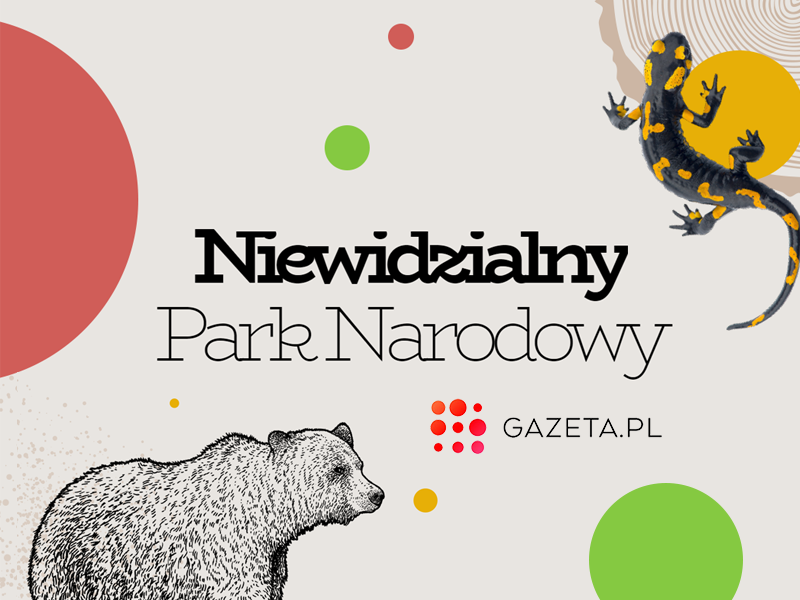 „Niewidzialny Park Narodowy” – multimedialny reportaż Gazeta.pl